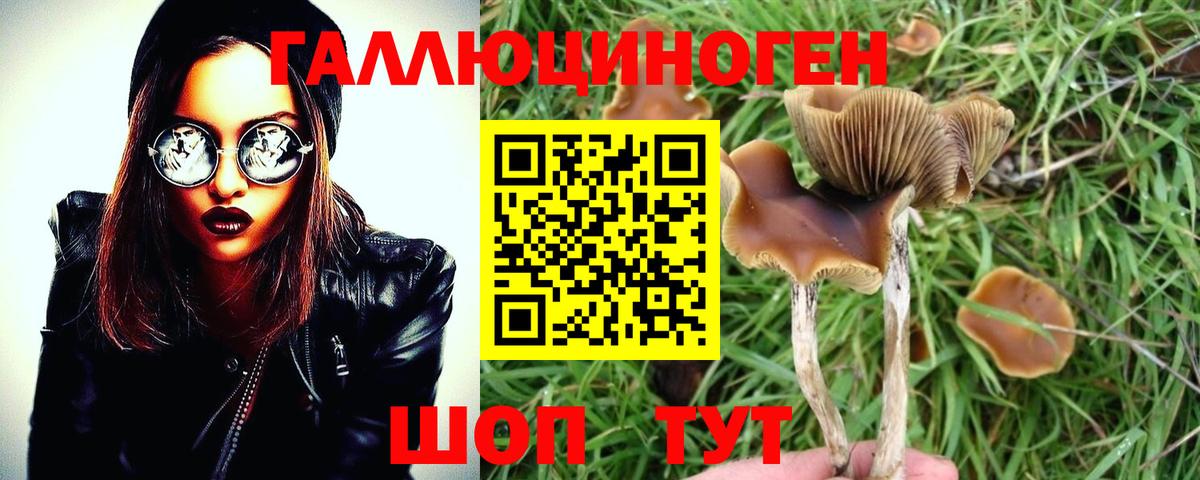 Галлюциногенные грибы мицелий  Вход с VPN  Туймазы 