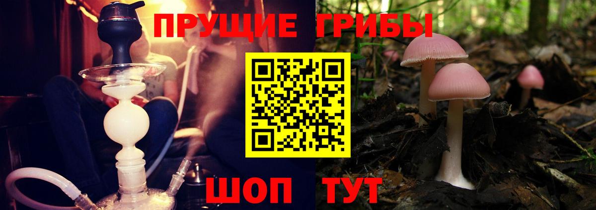 Галлюциногенные грибы Magic Shrooms Туймазы